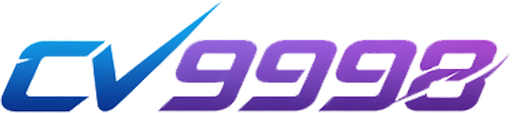 bdcv9998.net Logo